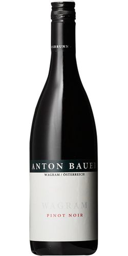 Anton Bauer, Pinot Noir Wagram 2018