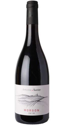 Antoine Sunier, Morgon 2020